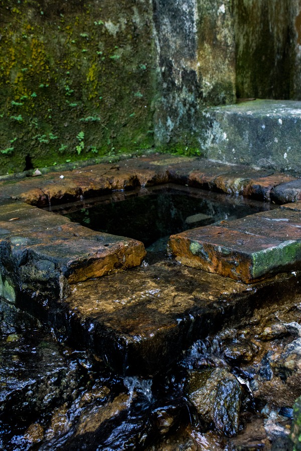 APA da Água Escondida — área natural de Niterói